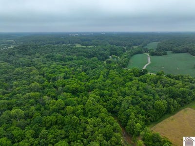 /international/us/000-state-line-road-east-hazel-ky-110108225599/