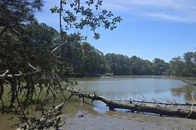 /international/us/saltworks-rd-lot-b4-jamesville-va-110108932360/