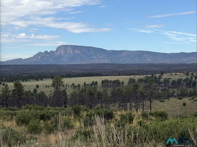 /international/us/696-highway-94-rociada-nm-110120579151/