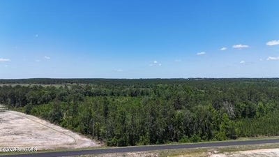 /international/us/oscar-tippins-road-baxley-ga-110108237294/