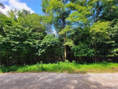 /international/us/whitetail-crossing-road-walker-pa-110094042733/