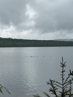 /international/us/416-s-shore-road-island-falls-me-110109914460/