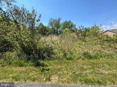 /international/us/lot-267-268-wild-pony-ct-chincoteague-island-va-110109084598/