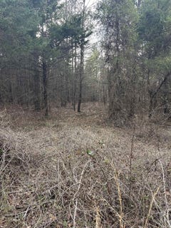 /international/us/4475-heber-springs-road-w-quitman-ar-110105974207/
