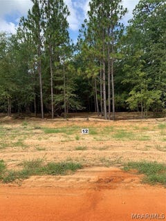 /international/us/deer-loop-lot-12-camden-al-110078457212/