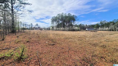 /international/us/1077-chancellors-ferry-loop-lot-35-harpersville-al-110100130759/