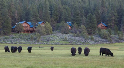 /international/us/fishhole-creek-road-bly-or-110107073785/