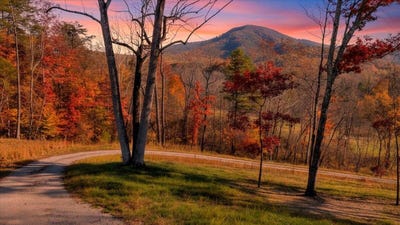 /international/us/6742-dawnwood-rd-roanoke-va-110103658716/