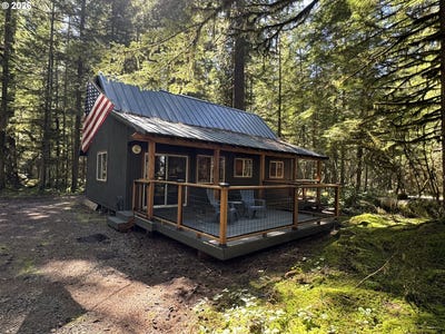 /international/us/cabin-61-northwoods-cougar-wa-110106787194/