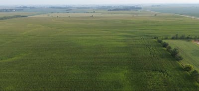 /international/us/tbd-county-rd-4-hayfield-mn-110094215903/