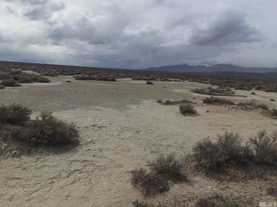 /international/us/apn-07420133-reno-nv-110093735876/
