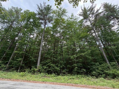 /international/us/rolling-ridge-road-bartlett-nh-110108687980/?lang=es