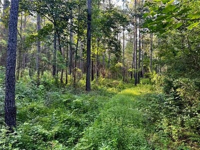 /international/us/parcel-3-wardline-road-lot-par-3-bogalusa-la-110109154440/