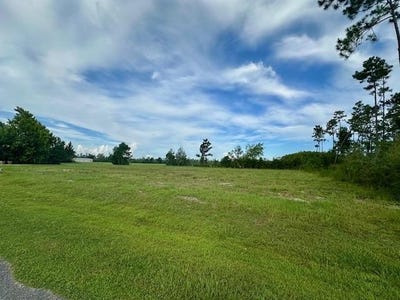 /international/us/213-edge-hill-rd-wewahitchka-fl-110100817156/?lang=zh-tw