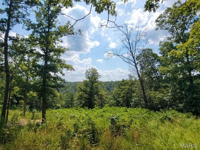 /international/us/0ff-county-road-118-annapolis-mo-110101491453/?lang=zh-tw