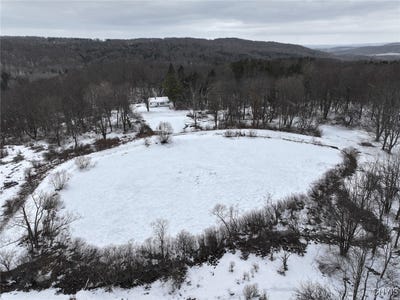 /international/us/10020-mclaughlin-road-west-valley-ny-110104882387/