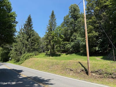 /international/us/1499-huntersland-road-middleburgh-ny-110101365126/?lang=zh-cn