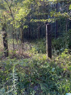 /international/us/lincoln-road-lot-6-0-cleveland-al-110109051681/