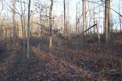 /international/us/klondike-rd-lot-1-confluence-pa-110096217865/