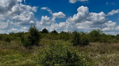 /international/us/5815-wild-flower-road-sealy-tx-110107516841/