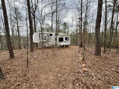 /international/us/0-foster-hills-drive-lineville-al-110096659722/
