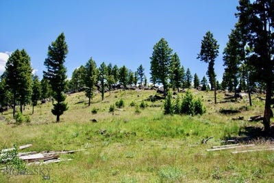 /international/us/3414-divide-creek-divide-mt-110120154817/