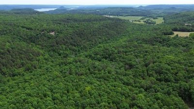/international/us/e-mountain-road-bee-branch-ar-110107733282/