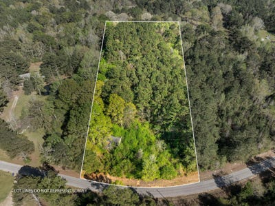/international/us/3-acres-will-barber-pinola-ms-110106818407/