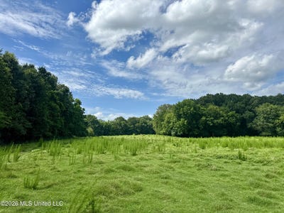 /international/us/lexington-road-pickens-ms-110109088639/
