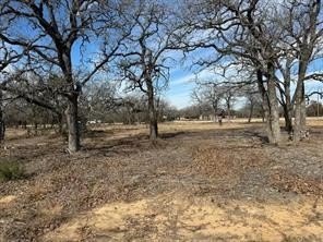 /international/us/cr-2030-lot-7-glen-rose-tx-110105078762/