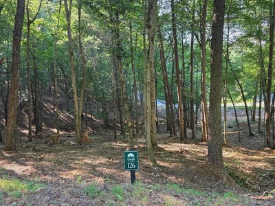 /international/us/126r-red-oak-trail-east-ellijay-ga-110101343424/?lang=zh-tw