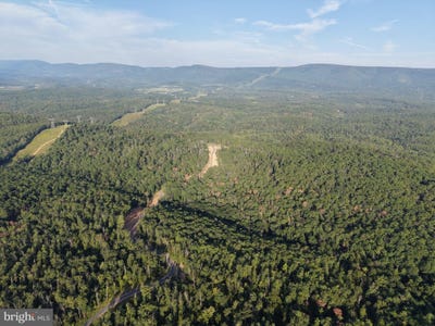 /international/us/310-87-acres-off-laurel-grove-road-winchester-va-110120149997/