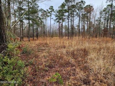 /international/us/8055-n-us-17-hwy-vanceboro-nc-110101053140/?lang=zh-tw
