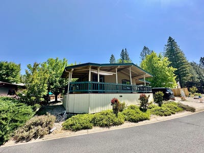 /international/us/236-rattlesnake-dick-murphys-ca-110099596676/
