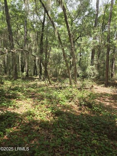 /international/us/tbd-mclane-street-st-helena-island-sc-110099952391/