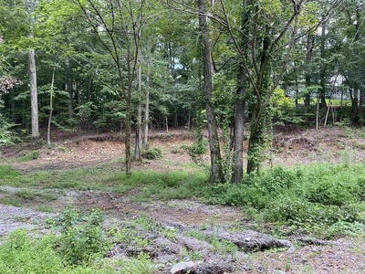 /international/us/champion-drive-lot-59-gilbertsville-ky-110100977609/