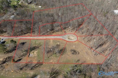 /international/us/lot-10-county-road-825-scottsboro-al-110097666054/?lang=zh-cn