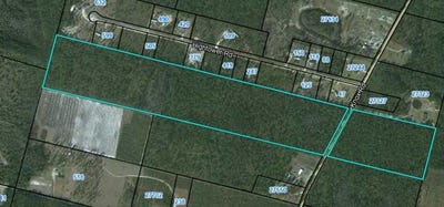 /international/us/0-knox-road-nahunta-ga-110100867430/