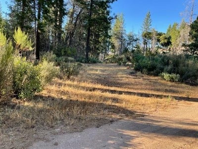 /international/us/18371-pine-tree-way-mountain-ranch-ca-110099595920/