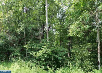 /international/us/xxxx-deer-forest-rd-aurora-mn-110101460744/?lang=id