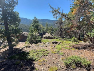 /international/us/32764-lodgepole-circle-lot-6-evergreen-co-110104153824/