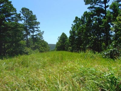 /international/us/tbd-peach-creek-road-fan-ok-110100920847/