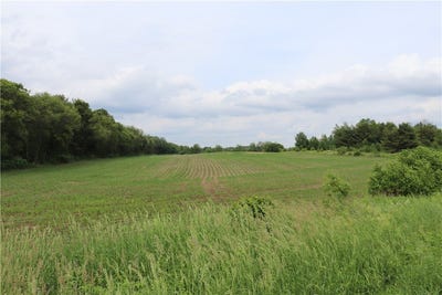 /international/us/0000-mcgower-road-fairchild-wi-110100309310/?lang=zh-tw