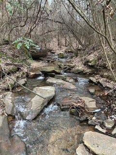 /international/us/1007-evanwood-drive-e-lookout-mountain-tn-110120018780/