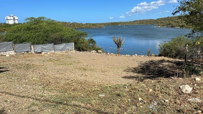 /international/us/salinas-providencia-calle-c-bloq-a-7-a-guanica-pr-110101123435/?lang=zh-tw