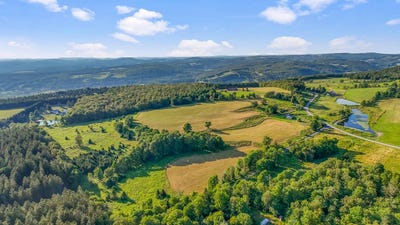 /international/us/153-stone-ridge-dr-charlotteville-ny-110101329573/?lang=zh-tw