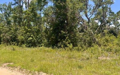 /international/us/lot16-nw-southern-oak-terrace-jennings-fl-110100427428/