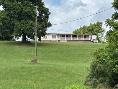 /international/us/3938-big-lynn-ck-rd-genoa-wv-110102661159/