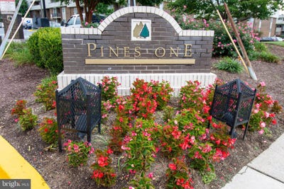 /international/us/10202-prince-upper-marlboro-md-110106931846/