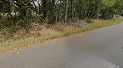 /international/us/spring-loop-drive-ocala-fl-110120027872/